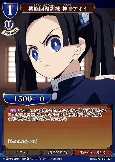 機能回復訓練 神崎アオイ 【KY/TB1/22R】